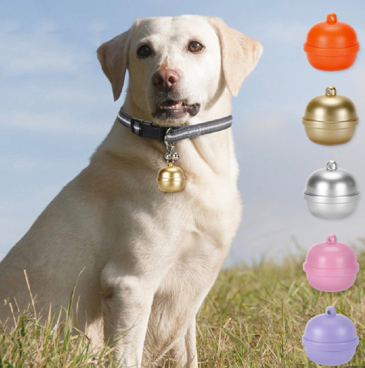 PETS @ PEACE COLLECTION