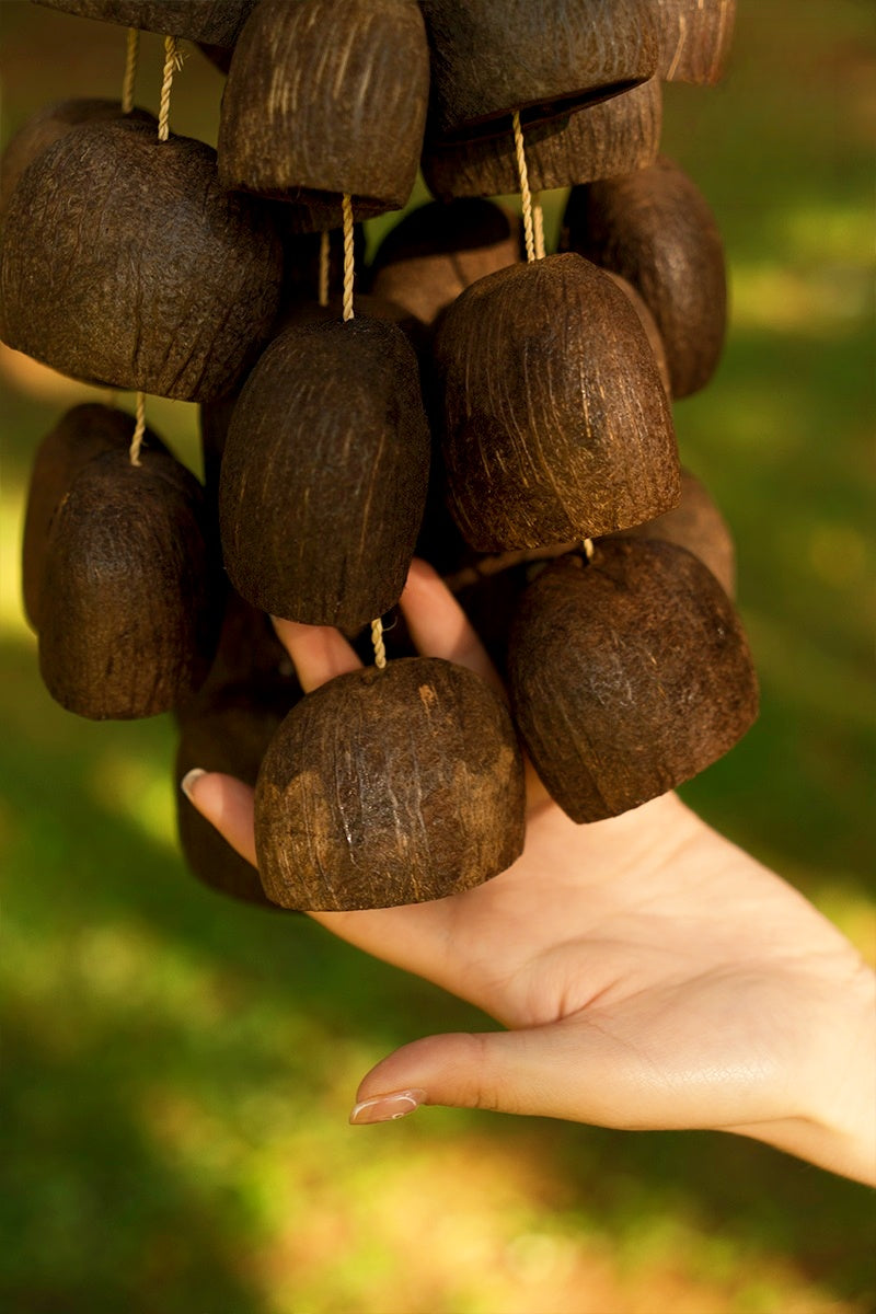 Seed Shaker | Handmade Salin Water Bellwood Seed Shell Hand Bell – Natural Rainforest Decor
